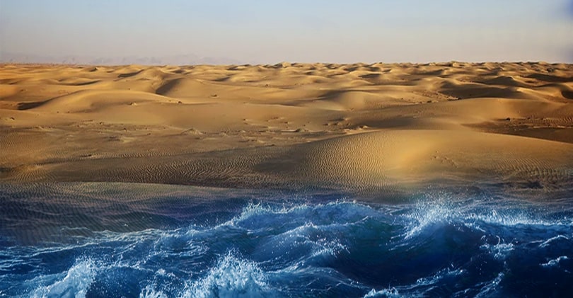 Viaggio con paesaggio tra distese d’acqua e di sabbia
