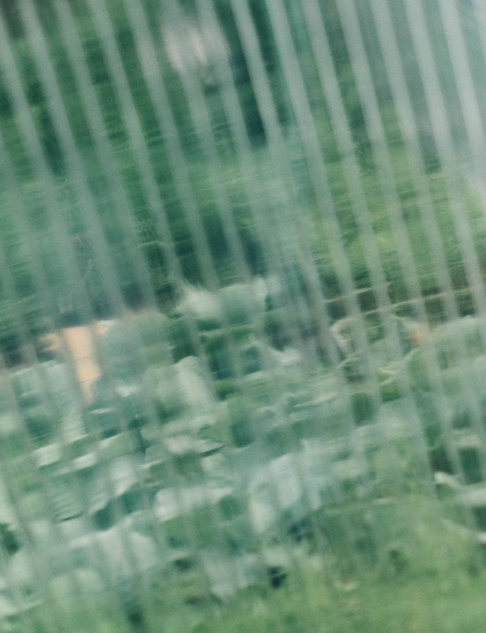 Zona Tecnica a Orticolario 2025