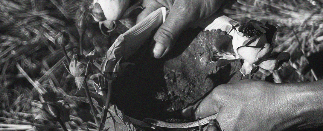 A Orticolario 2025 con I Doni